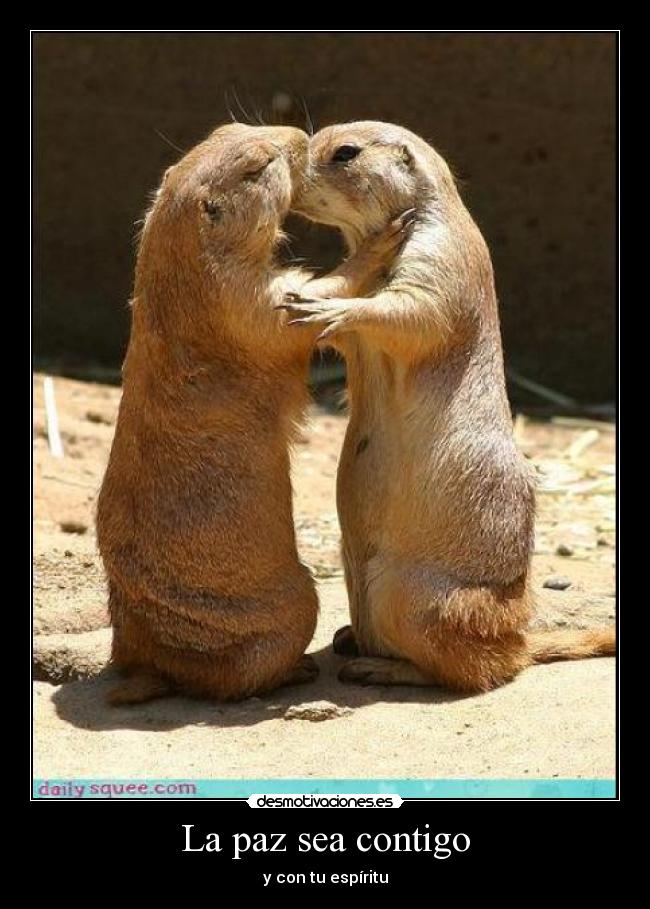 La paz sea contigo - 