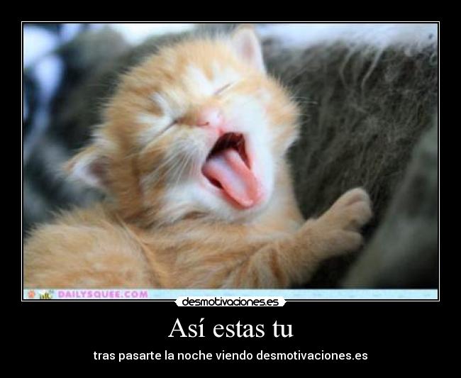 Así estas tu - tras pasarte la noche viendo desmotivaciones.es