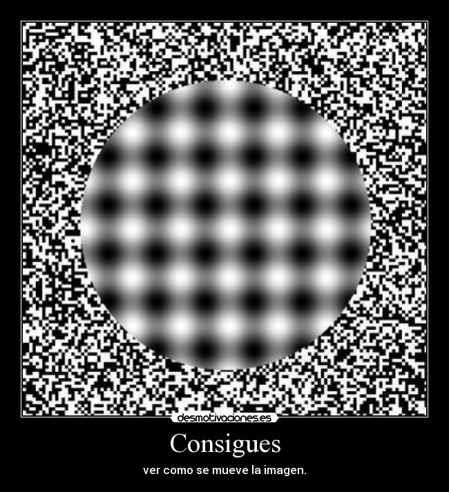 Consigues - 
