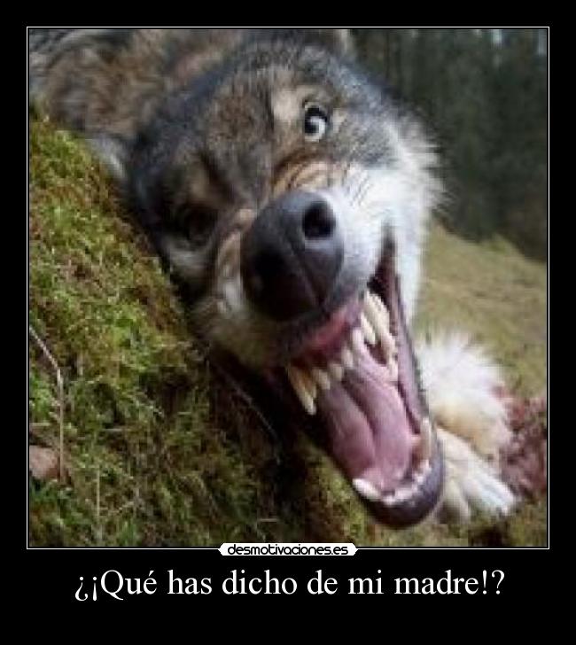 ¿¡Qué has dicho de mi madre!? -