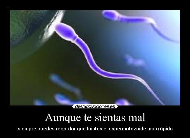 Aunque te sientas mal - siempre puedes recordar que fuistes el espermatozoide mas rápido
