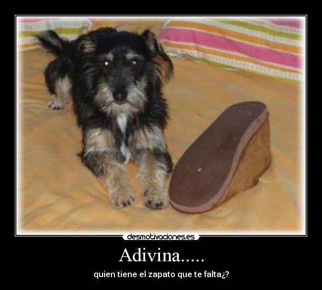 Adivina..... - quien tiene el zapato que te falta¿?