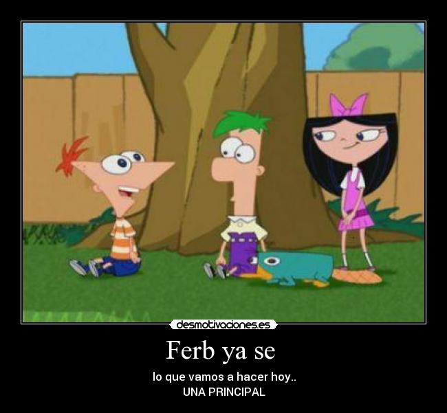 carteles phineas ferbperry desmotivaciones
