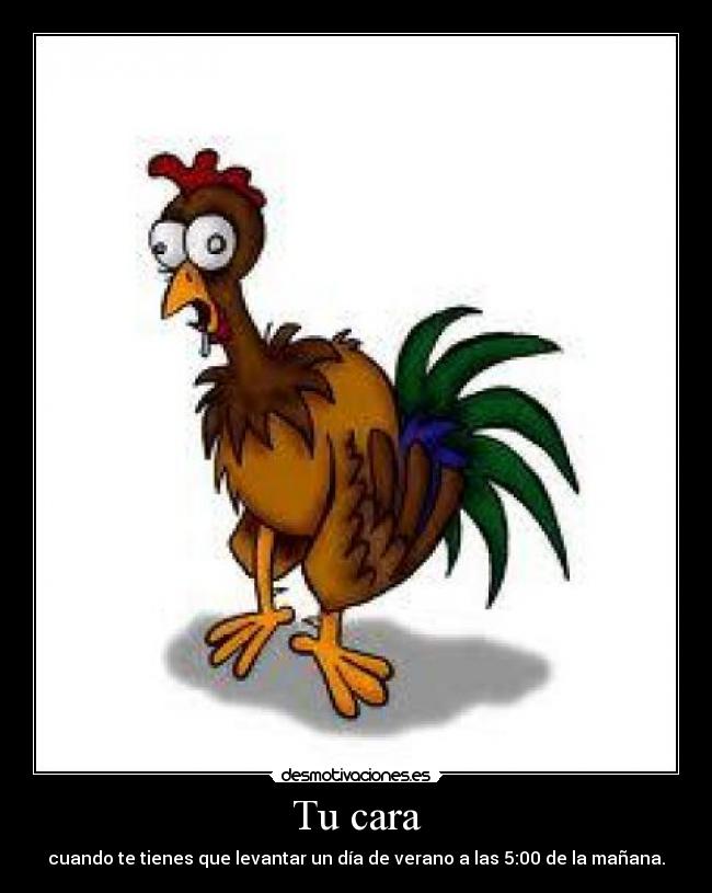 carteles cara desmotivaciones