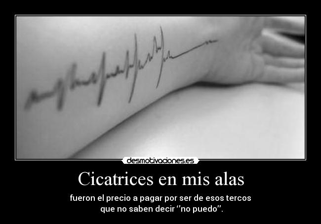 Cicatrices en mis alas -