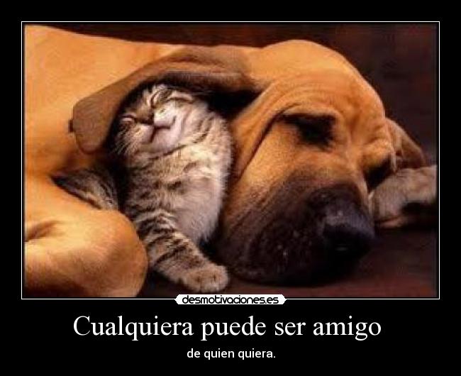 Cualquiera puede ser amigo -