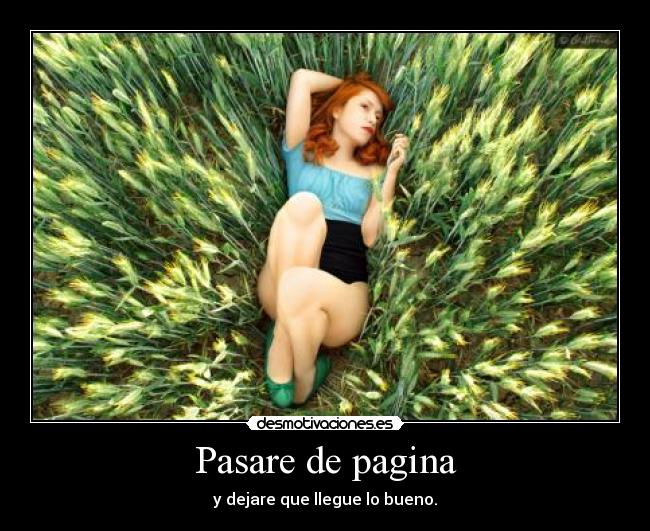 Pasare de pagina - 