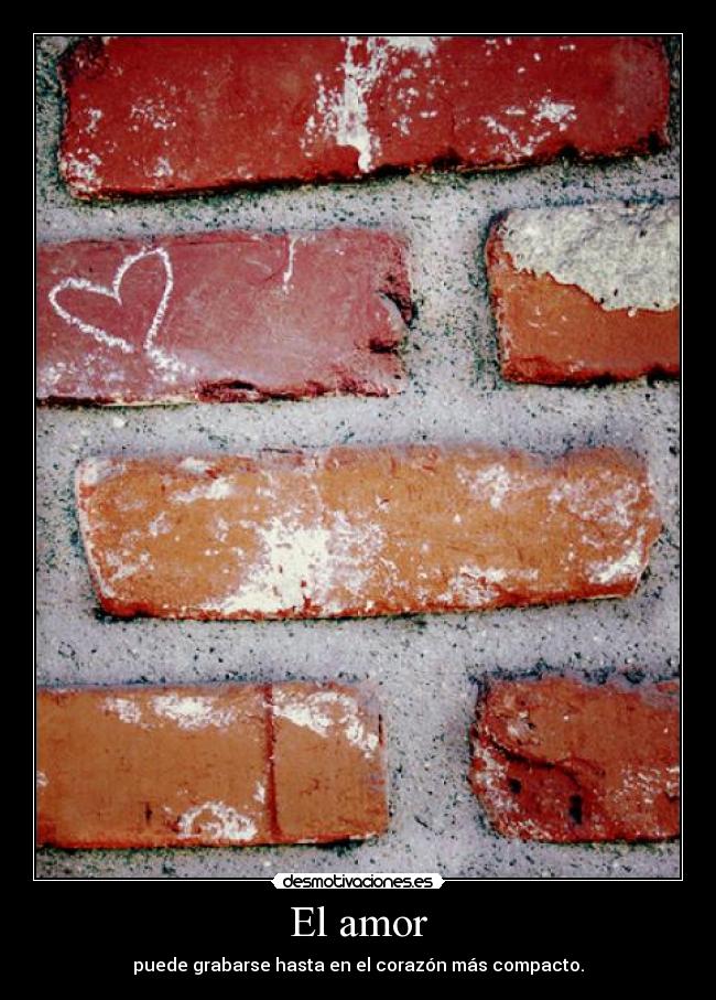 El amor - 