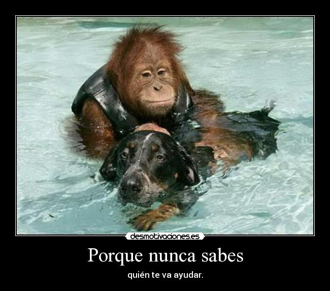 Porque nunca sabes - 