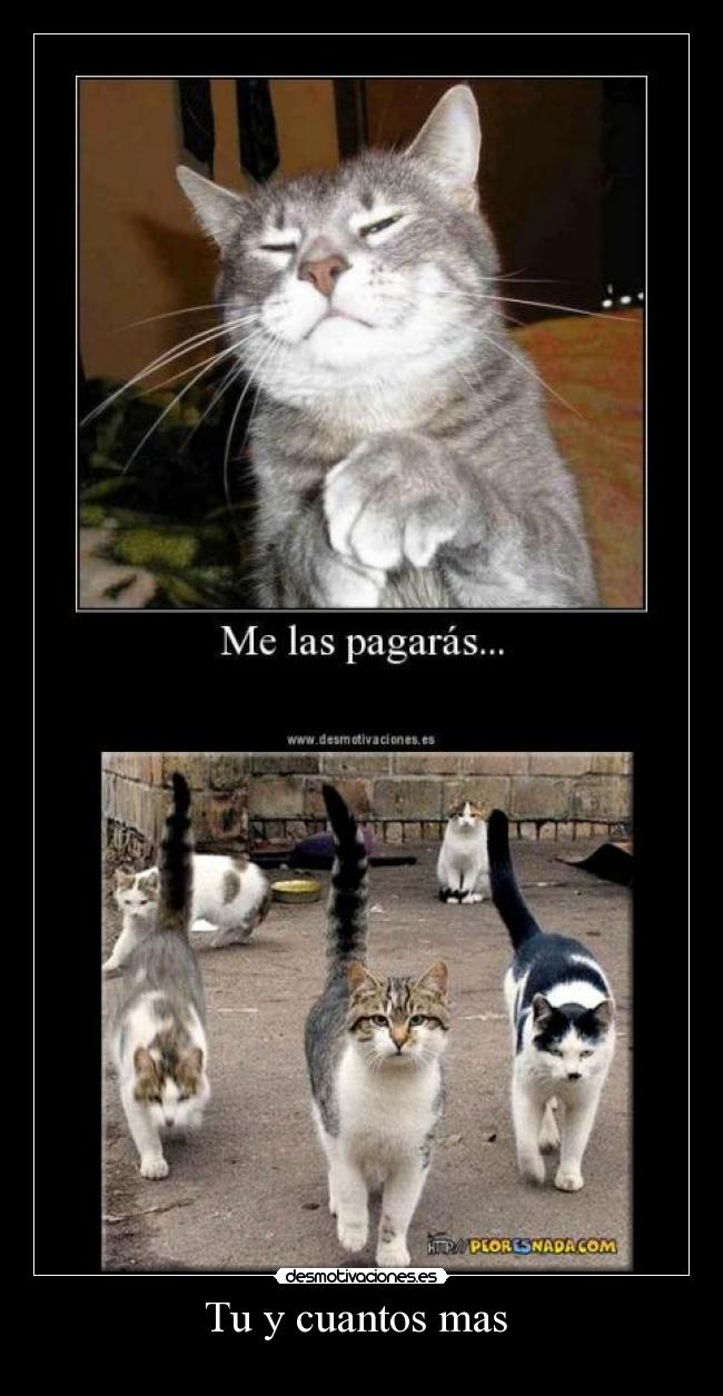 Tu y cuantos mas  - 