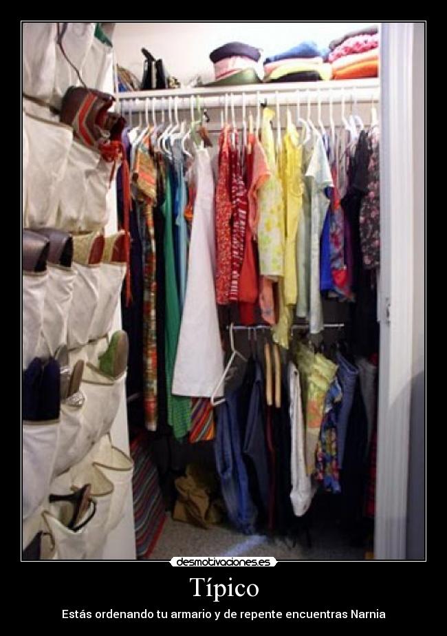 Típico - Estás ordenando tu armario y de repente encuentras Narnia