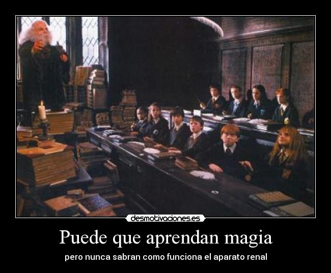 Puede que aprendan magia -