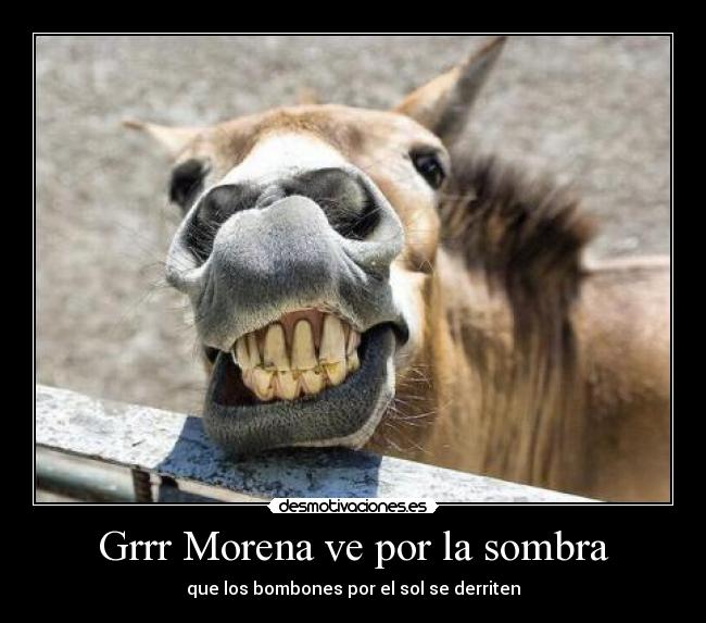 Grrr Morena ve por la sombra - 