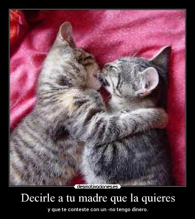 Decirle a tu madre que la quieres - y que te conteste con un -no tengo dinero.
