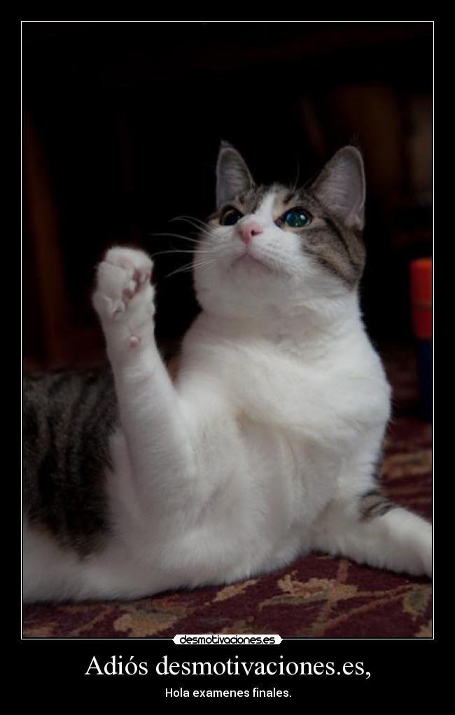 Adiós desmotivaciones.es, -
