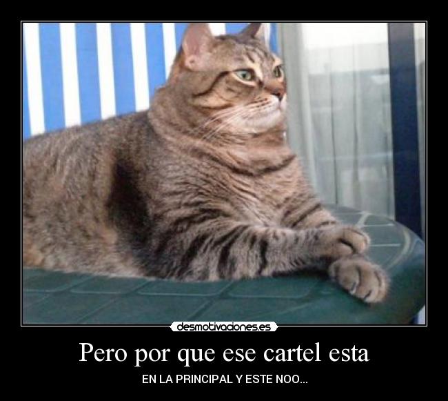 Pero por que ese cartel esta - EN LA PRINCIPAL Y ESTE NOO...