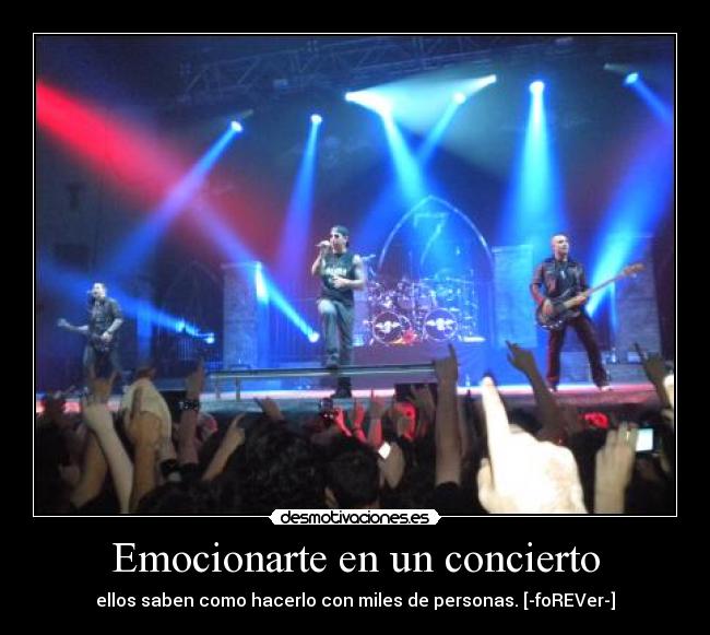 Emocionarte en un concierto - ellos saben como hacerlo con miles de personas. [-foREVer-]