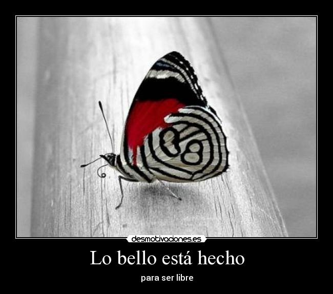 Lo bello está hecho - para ser libre