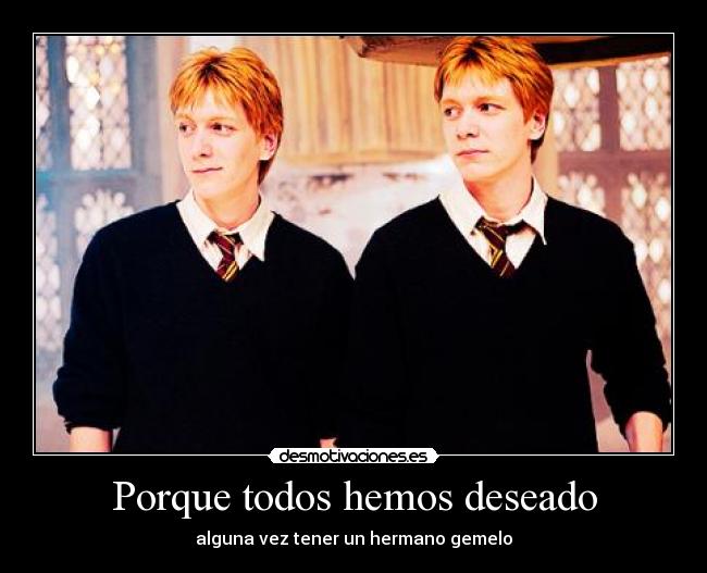carteles todos desear hermano gemelo desmotivaciones