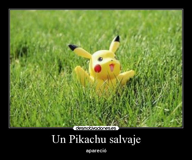 Un Pikachu salvaje - 