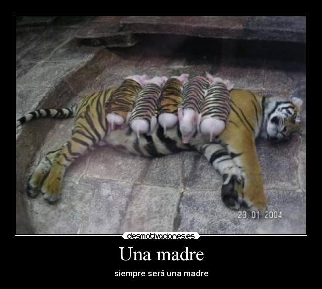 Una madre - siempre será una madre