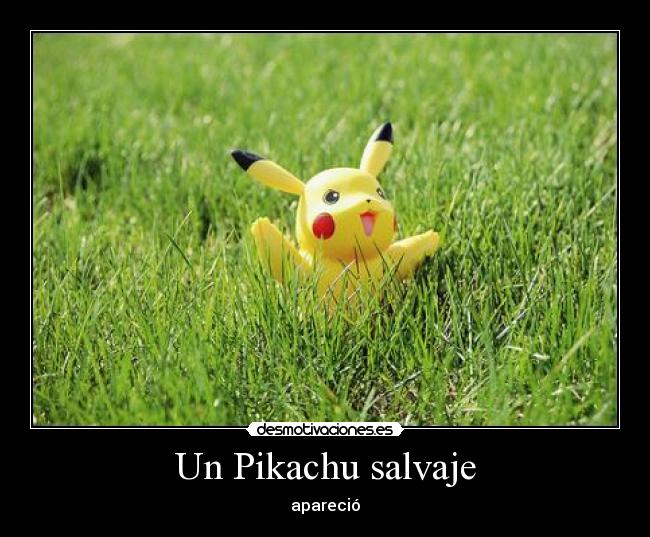 Un Pikachu salvaje - apareció