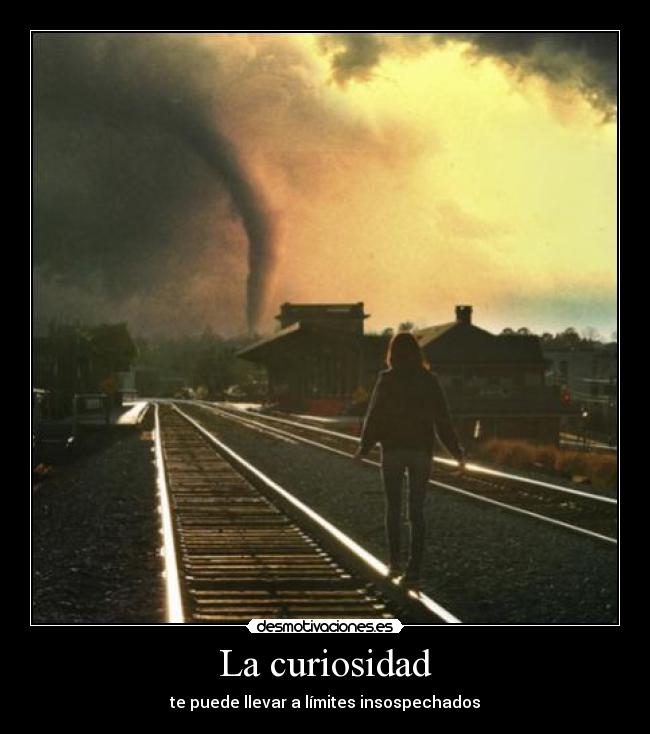 La curiosidad - te puede llevar a límites insospechados