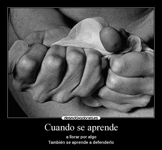 carteles barricada desmotivaciones