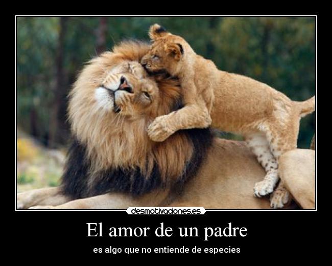 El amor de un padre - es algo que no entiende de especies