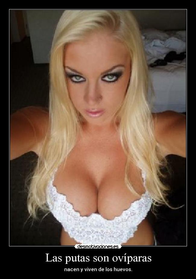 Las putas son ovíparas - nacen y viven de los huevos.