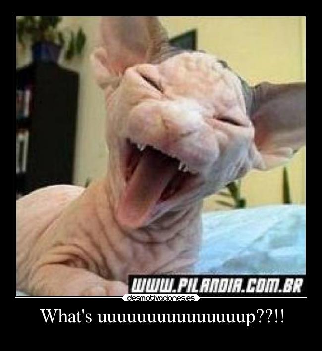 Whats uuuuuuuuuuuuuuup??!! - 