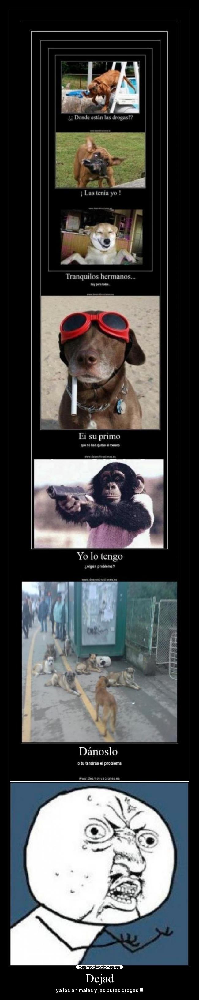 Dejad - ya los animales y las putas drogas!!!!