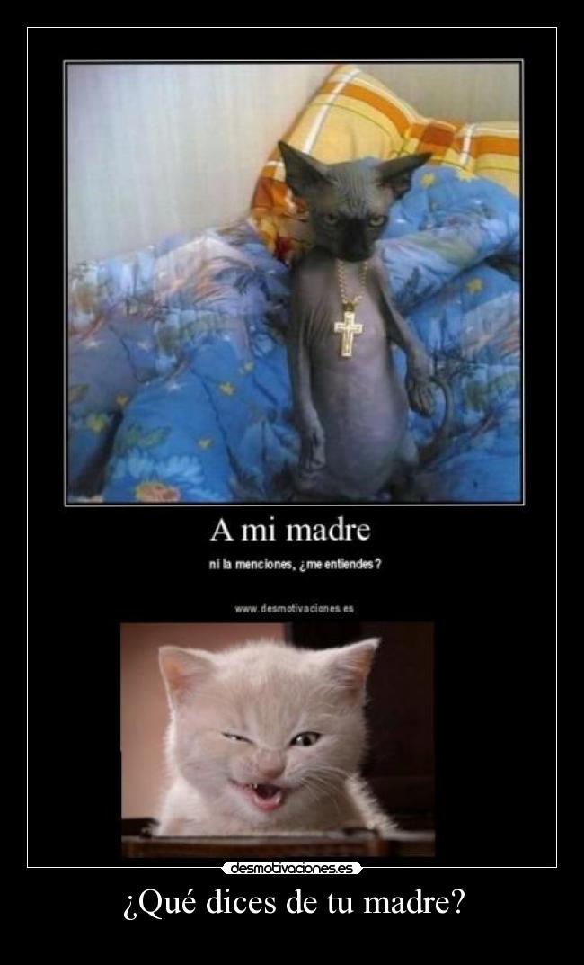 ¿Qué dices de tu madre? - 