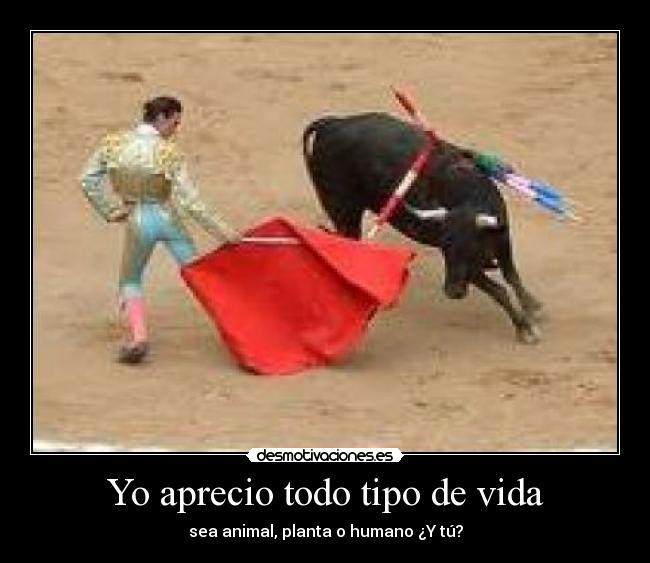 carteles vida desmotivaciones