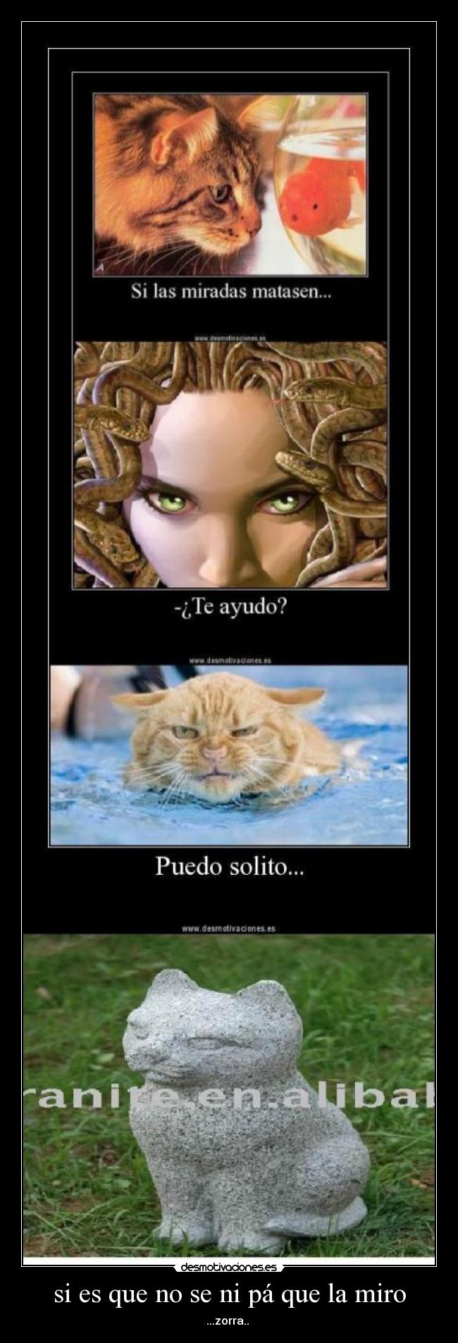 si es que no se ni pá que la miro - 