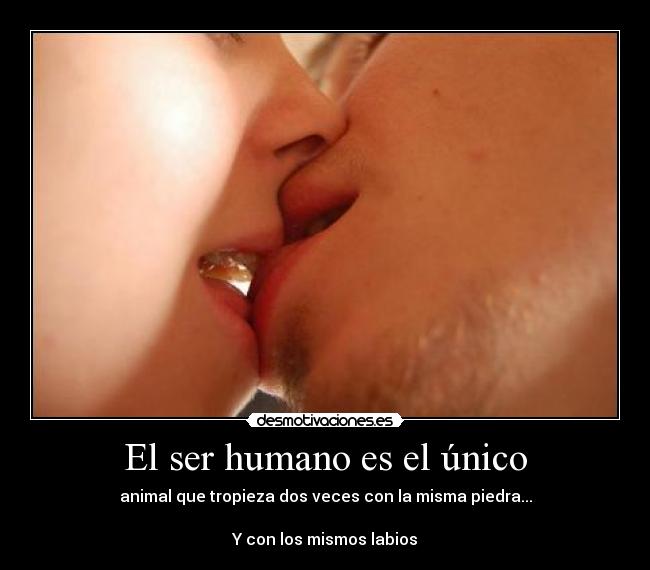 El ser humano es el único - animal que tropieza dos veces con la misma piedra...

Y con los mismos labios