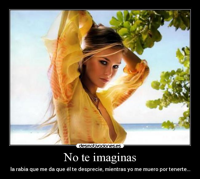 No te imaginas - la rabia que me da que él te desprecie, mientras yo me muero por tenerte...