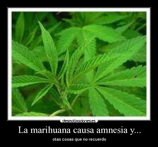 carteles mariiiiia desmotivaciones