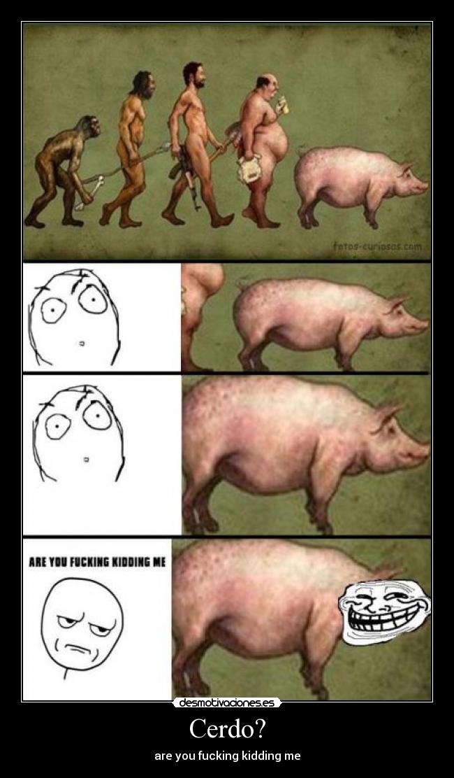 Cerdo? - 