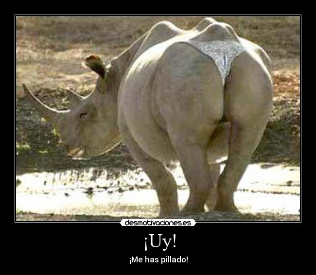 carteles primer surikio desmotivaciones