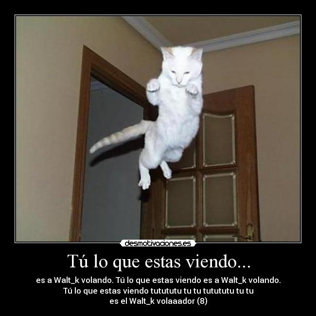 Tú lo que estas viendo... - es a Walt_k volando. Tú lo que estas viendo es a Walt_k volando.
Tú lo que estas viendo tutututu tu tu tutututu tu tu
es el Walt_k volaaador (8)
