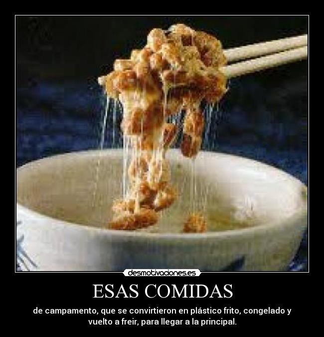 ESAS COMIDAS - de campamento, que se convirtieron en plástico frito, congelado y
vuelto a freir, para llegar a la principal.
