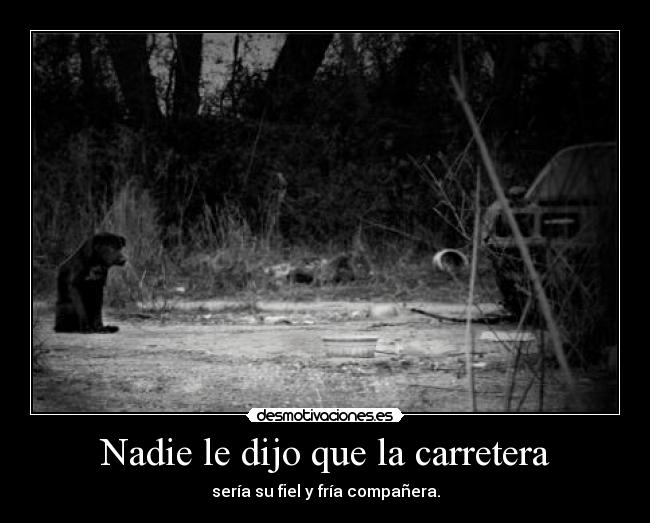 Nadie le dijo que la carretera -