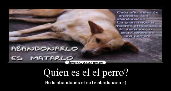 Quien es el el perro? - No lo abandones el no te abndonaria :-(