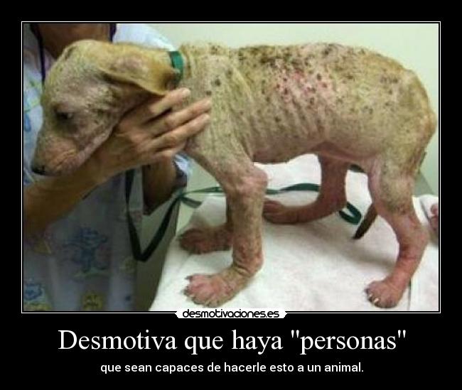 Desmotiva que haya personas -