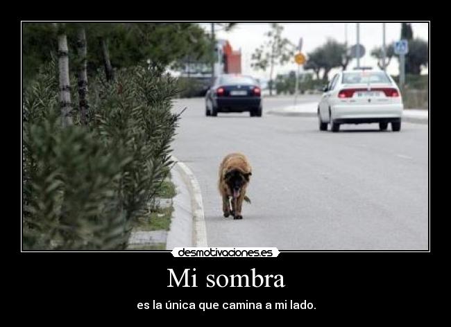 Mi sombra - es la única que camina a mi lado.