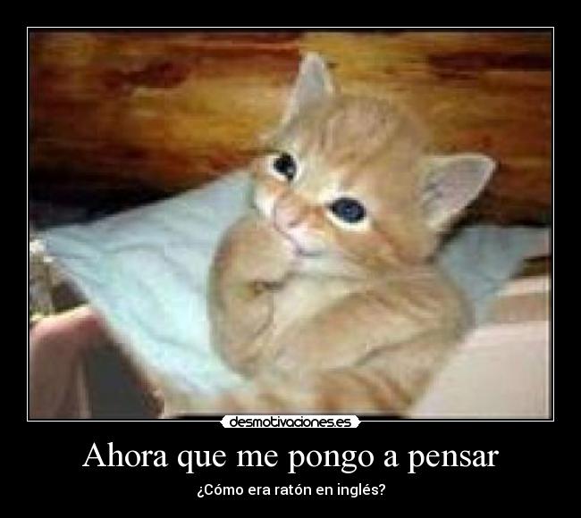 carteles sfaf desmotivaciones