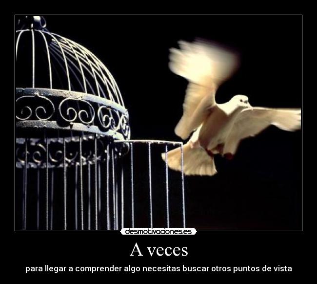 A veces - para llegar a comprender algo necesitas buscar otros puntos de vista