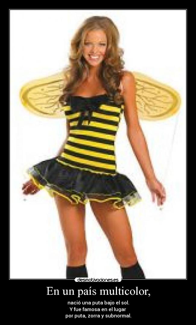 En un país multicolor, -