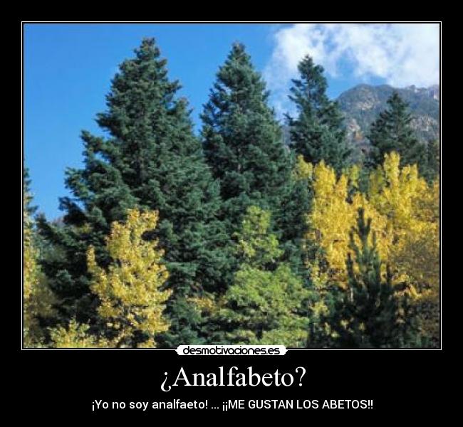 Imágenes y Carteles de ABETO | Desmotivaciones